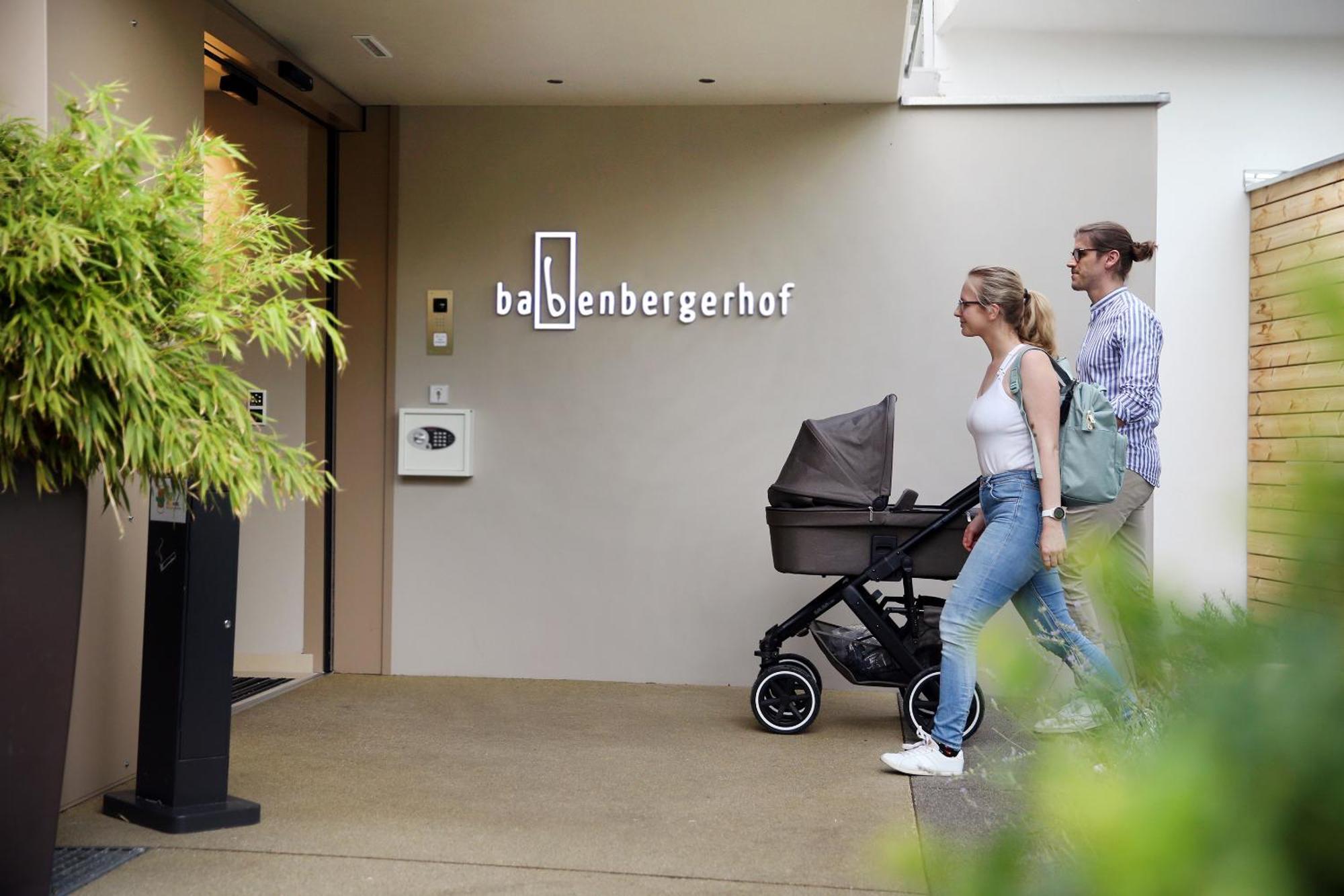 Hotel Babenbergerhof メードリング エクステリア 写真